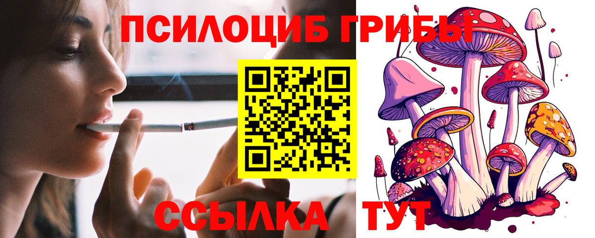 Галлюциногенные грибы GOLDEN TEACHER Урай